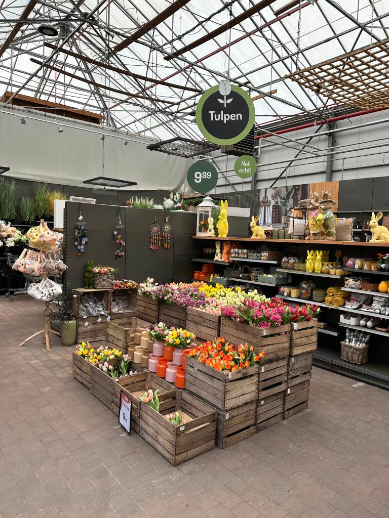 Sonderkonstruktion Baumarkt Inneneinrichtung und Dekoration 2