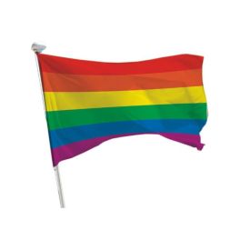 Regenbogen Flagge Querformat 1