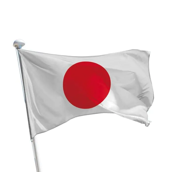 Papierfahnen - Drapeaux Papier Japon 12x24 Cm - Fabriqué En Allemagne - Neuf