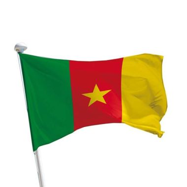 Kamerun Flagge für Fahnenmasten