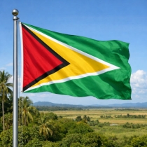 Guyana Flagge - Bedeutung, Farben, Symbolik & Herkunft