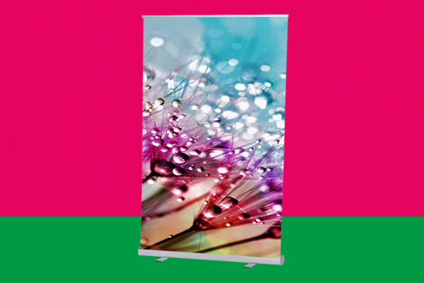 Das Roll-Up Chamäleon – Flexibles Produktdisplay für jeden Anlass