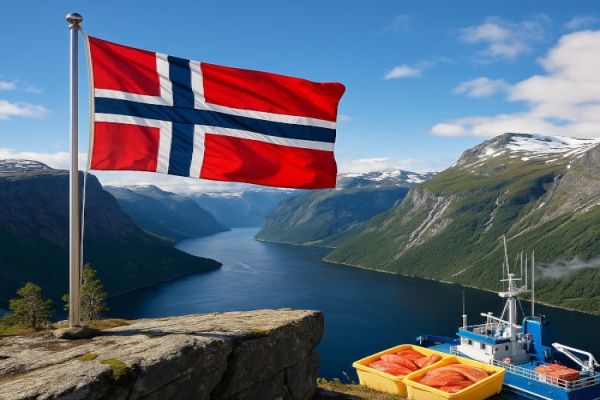 Norwegen Flagge - Bedeutung, Farben & Herkunft im Überblick